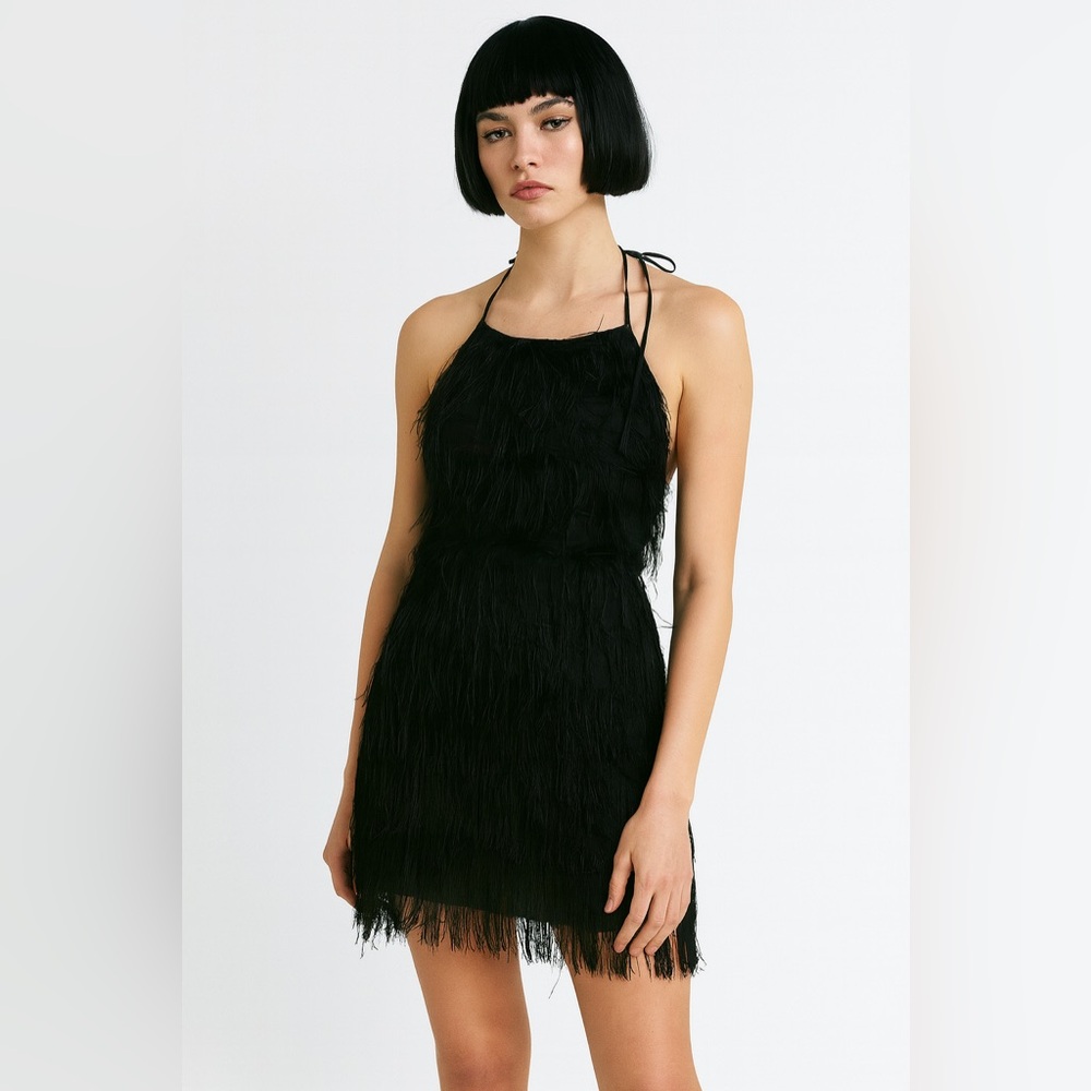 Flapper Dress for Halloween Costume OR just a sexy night out. G6